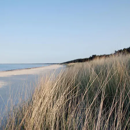 Strandnahes, Modernes Haus Mit Kamin Und Terrasse - Küstenwind *